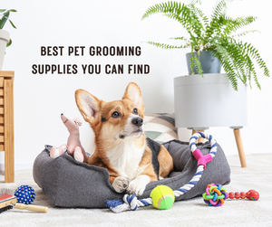 Best pet Grooming supplies you can find.